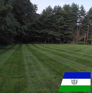 Meet your Posher, Eduardo